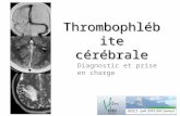 Thrombophlébite cérébrale DESC2 - Juin 2010 GAY samuel Diagnostic et prise en charge.