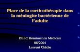 Place de la corticothérapie dans la méningite bactérienne de ladulte DESC Réanimation Médicale 06/2004 Laurent Chiche.