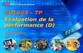 GOL503 – TP Évaluation de la performance (D) Version 2007.