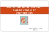 Antoine CHALLAN BELVAL Indications de la ponction-biopsie rénale en réanimation.