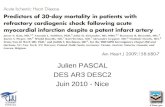Julien PASCAL DES AR3 DESC2 Juin 2010 - Nice. Analyse épidémiologique réalisée en post hoc dune étude prospective randomisée controlée en double aveugle.