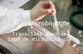 Microbiologie Travailler dans le labo de microbiologie.