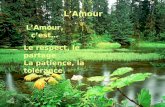 LAmour LAmour, cest… Le respect, le partage La patience, la tolérance.