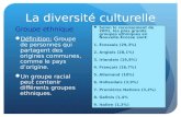 La diversité culturelle Groupe ethnique Définition: Groupe de personnes qui partagent des origines communes, comme le pays dorigine. Un groupe racial peut.