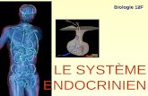 LE SYSTÈME ENDOCRINIEN Biologie 12F. Lhumain dispose de deux systèmes dinformation Le système électrique –Système nerveux (cerveau, nerf, etc.) –Extrêmement.