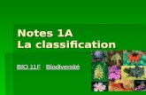 Notes 1A La classification BIO 11FBiodiversité. La taxinomie Taxinomie: la science de classifier les organismes Taxinomie: la science de classifier les.