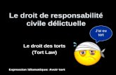 Le droit de responsabilité civile délictuelle Le droit des torts (Tort Law) Expression idiomatique: Avoir tort Jai eu tort.