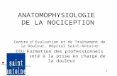1 ANATOMOPHYSIOLOGIE DE LA NOCICEPTION F. BOUREAU Centre d'Evaluation et de Traitement de la Douleur, Hôpital Saint-Antoine. DIU Formation des professionnels.