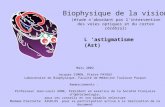 L astigmatisme (Ast) Mars 2002 Jacques SIMON, Pierre PAYOUX Laboratoire de Biophysique, Faculté de Médecine Toulouse Purpan Remerciements : Professeur.