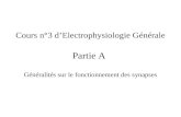 Cours n°3 dElectrophysiologie Générale Partie A Généralités sur le fonctionnement des synapses.