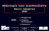 Hémorragie sous-arachnoïdienne Neuro-imagerie 2009 1.Diagnostic 2.Enquête étiologique 3.Pronostic CH Sainte-Anne : Pr JF Meder, Pr C Oppenheim, Dr O Naggara.