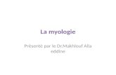 La myologie Prèsentè par le Dr.Makhlouf Alla eddine.