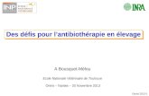 Oniris 2013-1 A Bousquet-Mélou Ecole Nationale Vétérinaire de Toulouse Oniris – Nantes – 20 Novembre 2013 Des défis pour lantibiothérapie en élevage.