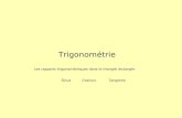 Trigonométrie Les rapports trigonométriques dans le triangle rectangle. SinusCosinusTangente.