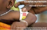 CLUSTER NUTRITION Mercredi 17 Avril 2013 M. Bakary Koné, Gestionnaire des données Nutrition, DNS/DN Anne-Céline Delinger, Gestionnaire de lInformation.