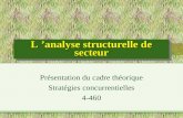 L analyse structurelle de secteur Présentation du cadre théorique Stratégies concurrentielles 4-460.