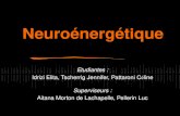 Neuroénergétique Etudiantes : Idrizi Elita, Tscherrig Jennifer, Pattaroni C é line Superviseurs : Aitana Morton de Lachapelle, Pellerin Luc.