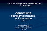 Adaptation cardiovasculaire À lexercice Claire Vinel claire.vinel@inserm.fr U.E 24: Adaptations physiologiques À lexercice CM3.