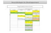 Neurobiologie du Développement Organisation/intervenants.