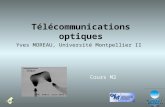 Montpellier II Université Télécommunications optiques Yves MOREAU, Université Montpellier II WDM, Baets, univ.Gent Cours M2.
