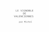 LE VIGNOBLE DE VALENCIENNES par Michel Hé oui, il y avait jadis un vignoble à Valenciennes.