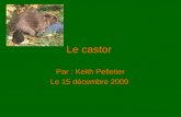 Le castor Par : Keith Pelletier Le 15 décembre 2009.