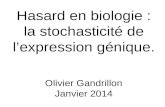 Hasard en biologie : la stochasticité de lexpression génique. Olivier Gandrillon Janvier 2014.