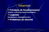 Internet Principes de fonctionnement (réseau, notions de base, vocabulaire) Logiciels (navigateurs, messageries etc.) Problèmes de sécurité.