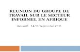 REUNION DU GROUPE DE TRAVAIL SUR LE SECTEUR INFORMEL EN AFRIQUE Yaoundé, 14-16 Septembre 2011.