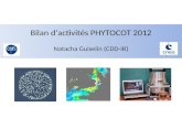 Bilan dactivités PHYTOCOT 2012 Natacha Guiselin (CDD-IR)
