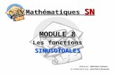 Mathématiques SN MODULE 8 Les fonctions SINUSOÏDALES Réalisé par : Sébastien Lachance En collaboration avec : Jean-Pierre Rousseau.