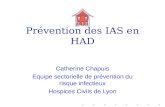 Prévention des IAS en HAD Catherine Chapuis Equipe sectorielle de prévention du risque infectieux Hospices Civils de Lyon.
