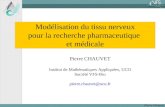 Pierre Chauvet Modélisation du tissu nerveux pour la recherche pharmaceutique et médicale Pierre CHAUVET Institut de Mathématiques Appliquées, UCO Société.