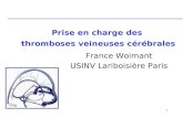 1 Prise en charge des thromboses veineuses cérébrales France Woimant USINV Lariboisière Paris.