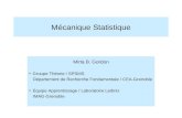Mécanique Statistique Mirta B. Gordon Groupe Théorie / SPSMS Département de Recherche Fondamentale / CEA-Grenoble Équipe Apprentissage / Laboratoire Leibniz.