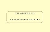 CHAPITRE III: LA PERCEPTION VISUELLE CHAPITRE I: Le domaine de la perception CHAPITRE II: La psychophysique CHAPITRE V: L attention CHAPITRE III: La.