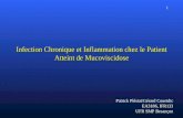 1 Infection Chronique et Inflammation chez le Patient Atteint de Mucoviscidose Patrick Plésiat/Gérard Couetdic EA3186, IFR133 UFR SMP Besançon.