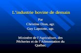 Lindustrie bovine de demain Par Christine Dion, agr. Guy Lapointe, agr. Ministère de lAgriculture, des Pêcheries et de lAlimentation du Québec.