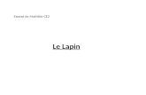 Le Lapin Exposé de Mathilde CE2. Introduction 1ere Partie Description du lapin 1) Sa famille Le lapin de garenne Le lièvre.