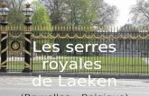 Les serres royales de Laeken (Bruxelles – Belgique)