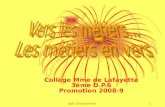 Dp6 Coulommiers 1 Collège Mme de Lafayette 3ème D.P.6 Promotion 2008-9.