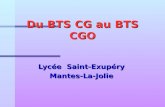 Du BTS CG au BTS CGO Lycée Saint-Exupéry Mantes-La-Jolie.