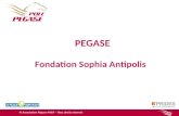 PEGASE Fondation Sophia Antipolis. Atouts Des leaders mondiaux Un tissu de PME dense et divers Une recherche à lexcellence: ONERA, INRIA… Des essais &