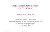 Année 2009-2010 Prof. Ch. Hanzen- Les pathologies de la gestation 1 Les pathologies de la gestation chez les ruminants Professeur Ch. Hanzen Faculté de.