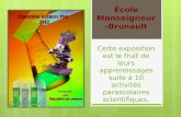 Cette exposition est le fruit de leurs apprentissages suite à 10 activités parascolaires scientifiques. École Monseigneur- Brunault.
