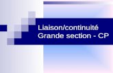 Liaison/continuité Grande section - CP. Favoriser la continuité du parcours scolaire Les nouveaux programmes 2008 mettent laccent sur lintégration de.
