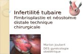 Infertilité tubaire Fimbrioplastie et néostomie distale technique chirurgicale Marion Joubert DES gynécologie obstétrique.