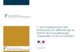 L accompagnement des entreprises en difficulté par la DRFIP de la Guadeloupe Dispositifs CCSF et CODEFI.