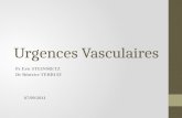 Urgences Vasculaires Pr Eric STEINMETZ Dr Béatrice TERRIAT 07/09/2011.