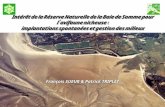 Intérêt de la Réserve Naturelle de la Baie de Somme pour l’avifaune nicheuse : implantations spontanées et gestion des milieux Intérêt de la Réserve Naturelle.